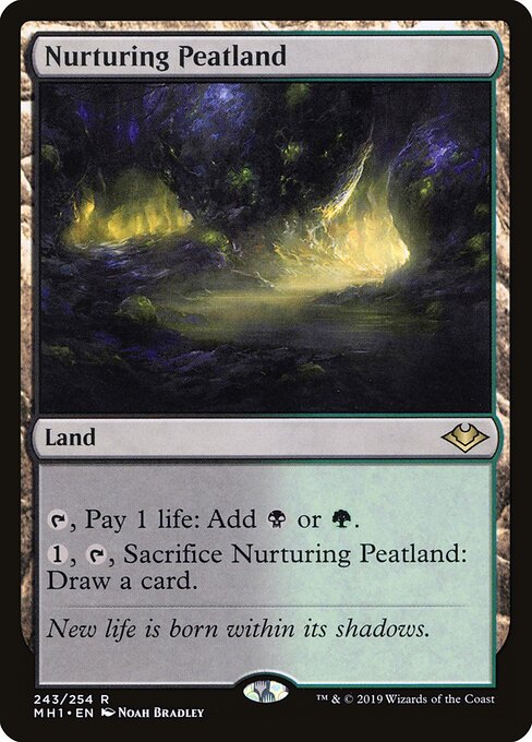 Nurturing Peatland - FOIL ★ Modern Horizons MH1 243/254 R (2019; Noah Bradley)