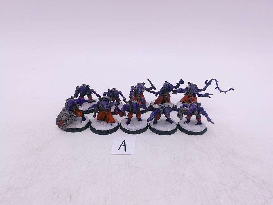 Acolyte Hybrids (5)
