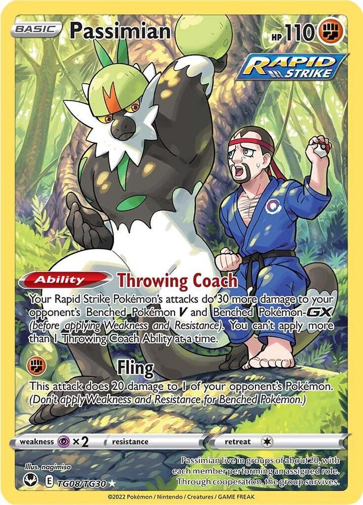 Passimian TG08 Silver Tempest Trainer Gallery