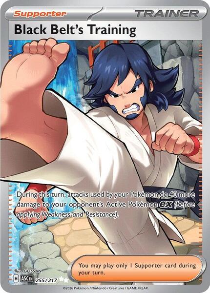 Black Belt's Training - FOIL ★ ME: Ascended Heroes 255/217