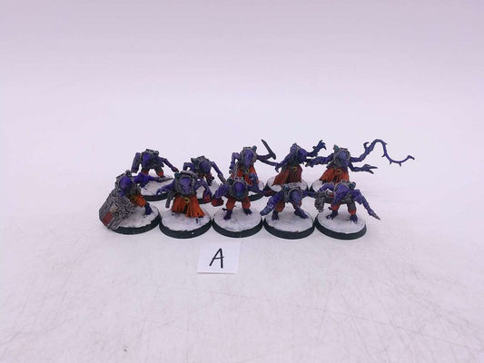 Acolyte Hybrids (5)